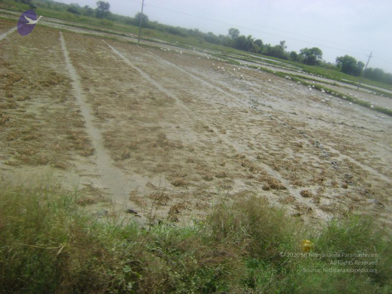 File:2006 DSC01907 CMP WM.jpg