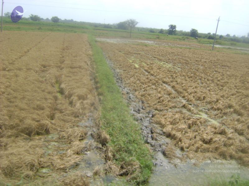 File:2006 DSC01908 CMP WM.jpg