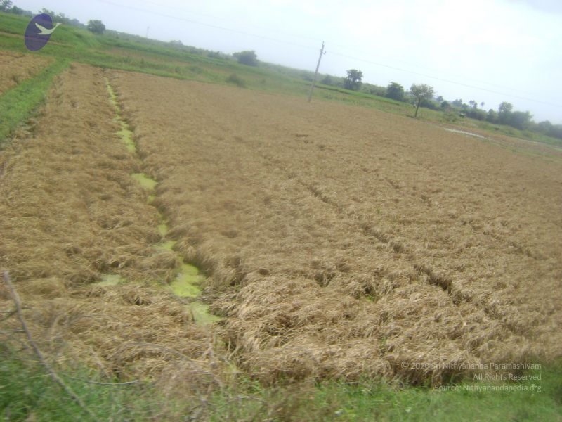 File:2006 DSC01909 CMP WM.jpg