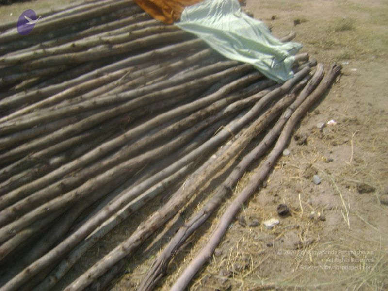 File:2006 DSC01911 CMP WM.jpg