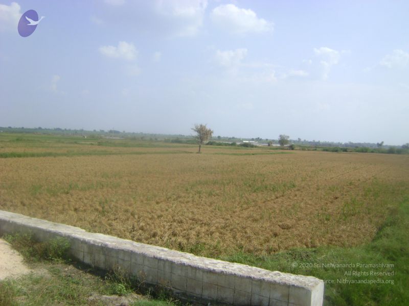 File:2006 DSC01922 CMP WM.jpg