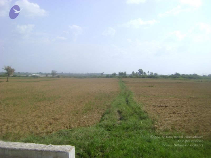 File:2006 DSC01923 CMP WM.jpg