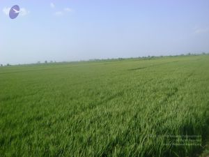 2006 DSC01958 CMP WM.jpg