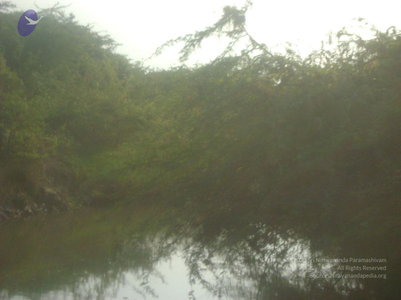 File:2006 DSC01969 CMP WM.jpg