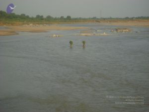 2006 DSC01978 CMP WM.jpg