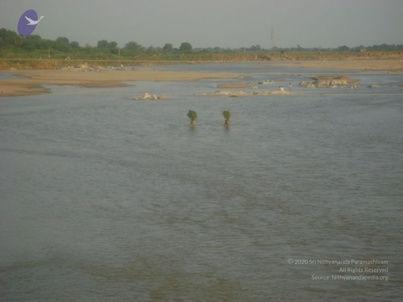 File:2006 DSC01978 CMP WM.jpg