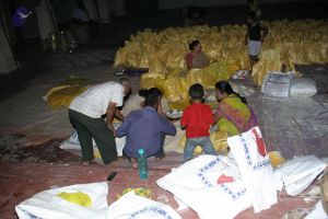 2006 IMG 9816 CMP WM.jpg