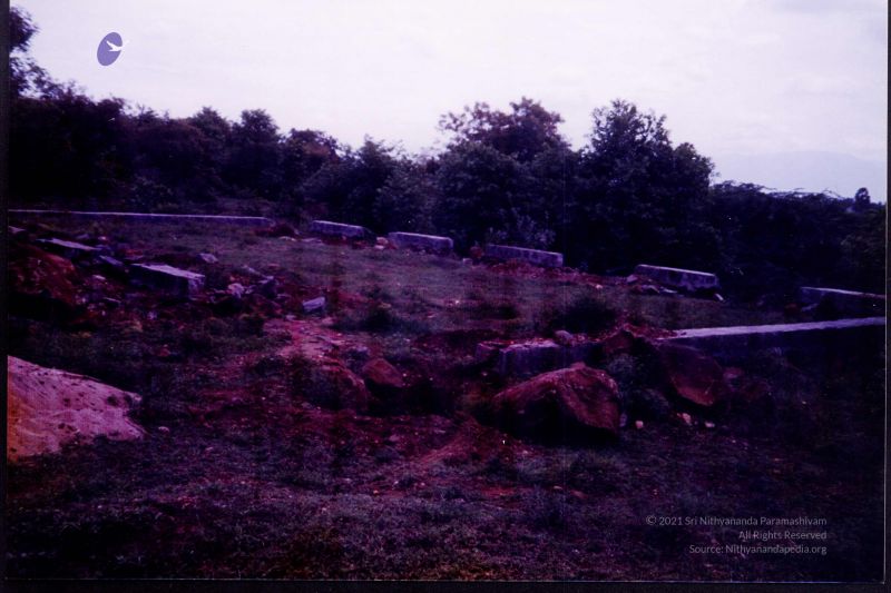 File:2006 PA-450(A) 115.jpg