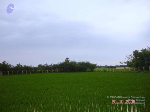 2006 Ratham Navalur Kuttapattu Photo 130 1An4C6s9jstgdU8HnItz 7vu23pFNcM2B.jpg