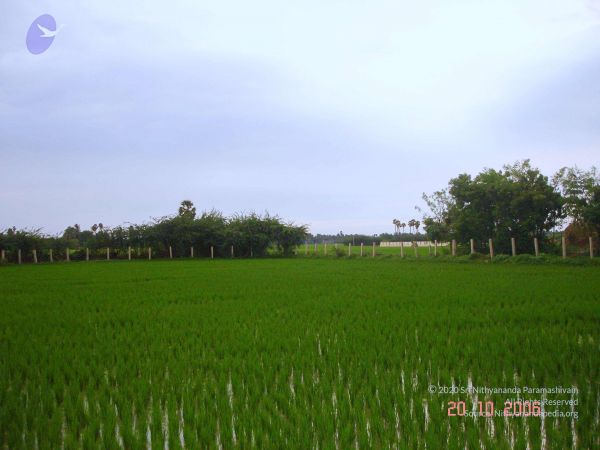 2006 Ratham Navalur Kuttapattu Photo 131 1WizzO9yuVXtZkvxU7qO7M3Afei1JeV6T.jpg