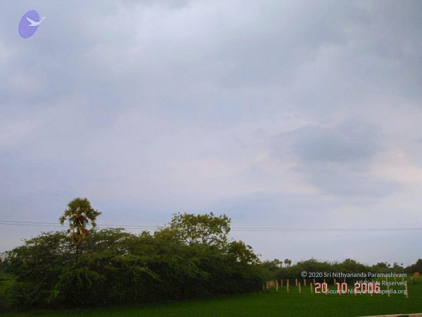 2006 Ratham Navalur Kuttapattu Photo 148 1gdSNkv4tC2yGfafM0N9vh3Mi6pwm04nW.jpg