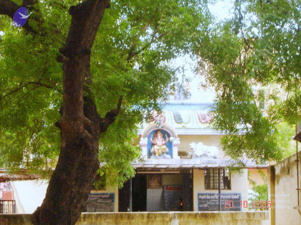 2006 Ratham Navalur Kuttapattu Photo 283 1S7NMNTx0h5v0DvC-74uo3qZz BiJBZTq.jpg