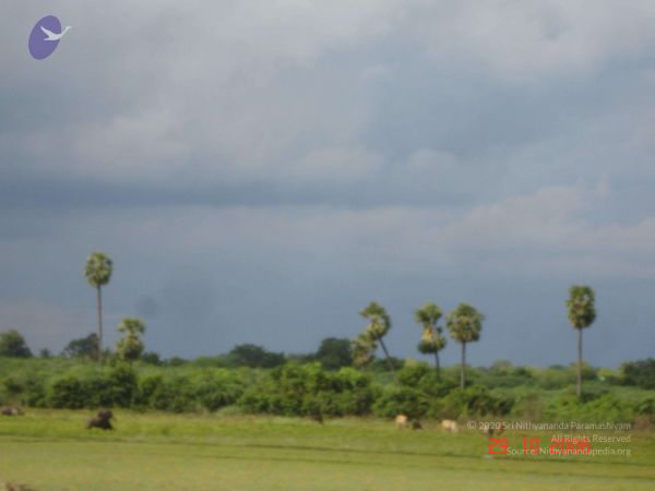 2006 Ratham Oct29th Nov05th Photo 239 1sHR7T2s47-EyFOSbumk8gm-yUaUIAsbR.jpg