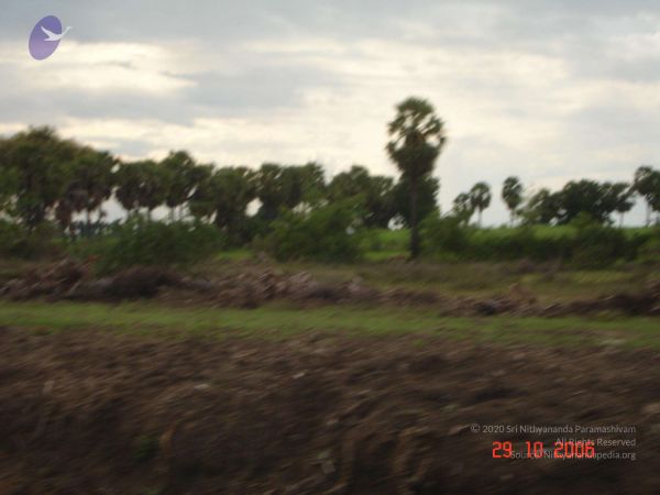 2006 Ratham Oct29th Nov05th Photo 250 1Sadqt6FkYOynuu8jwp1FT70WWGjykhyq.jpg