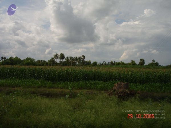 2006 Ratham Oct29th Nov05th Photo 277 1RmPROc0S8yz Ibq2134RGUnOP8MtbSy0.jpg