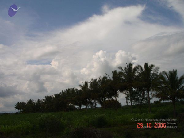 2006 Ratham Oct29th Nov05th Photo 281 1L2Zu6fl986R2rGjP46tLXVtcuf0oI8Ne.jpg