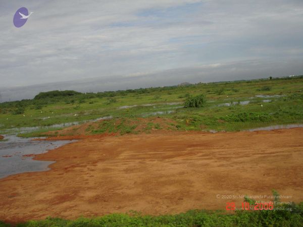 2006 Ratham Oct29th Nov05th Photo 306 1yk3xHhR0DCaOTR1HLmiQ5y 5QW6S4oj-.jpg