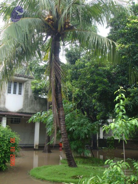 File:2006 Ratham Oct29th Nov05th Photo 569 1ZqmO4YN7Y-gdYlezsLWHliYhWJOSkZUh.jpg