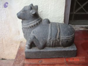 2006 Ratham Oct29th Nov05th Photo 587 1IXd8uQAeUjIvB1f-aBoveJ73Qw6-mfVo.jpg