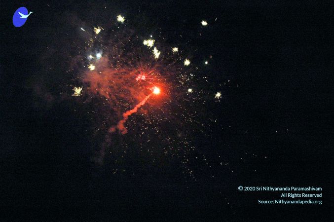 20070101 DSC 2498 CMP WM00100.jpg