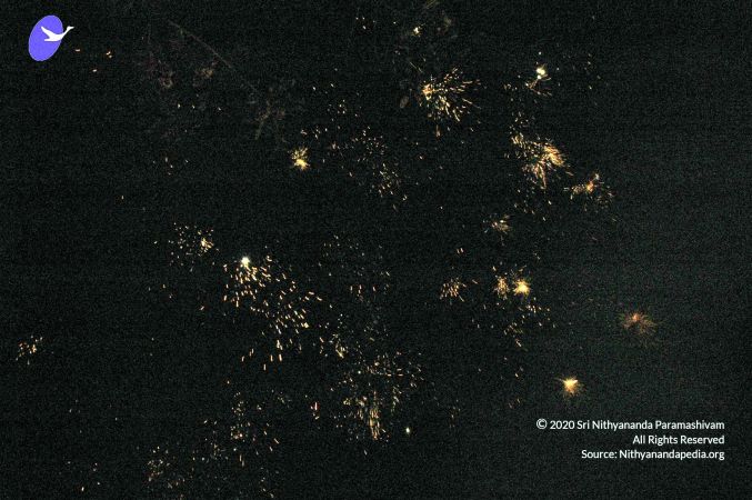 20070101 DSC 2566 CMP WM00100.jpg