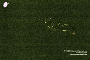 20070101 DSC 2572 CMP WM00100.jpg