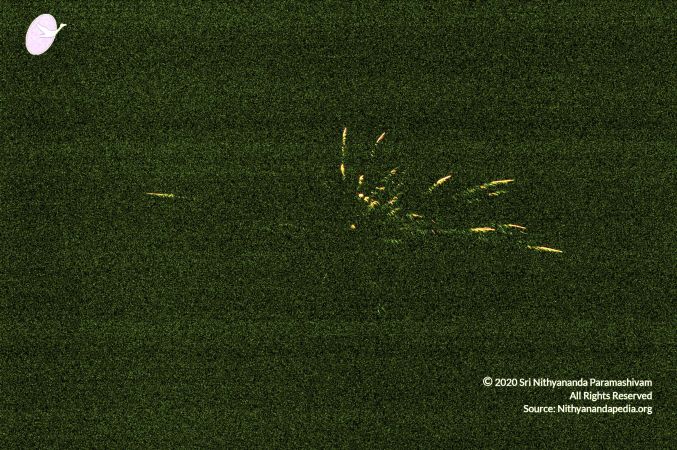 20070101 DSC 2572 CMP WM00100.jpg