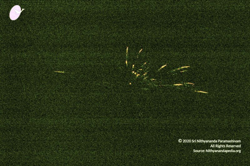 File:20070101 DSC 2572 CMP WM00100.jpg