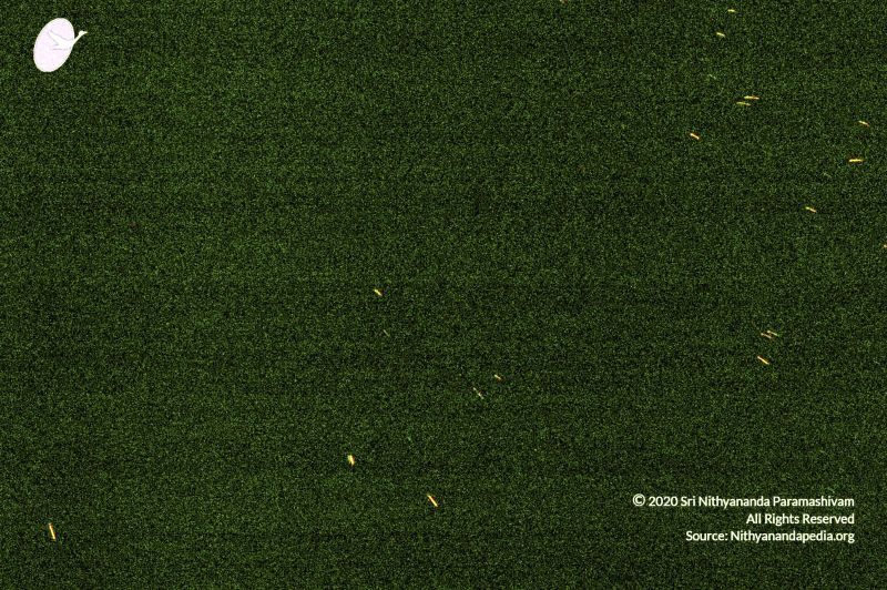 File:20070101 DSC 2579 CMP WM00100.jpg