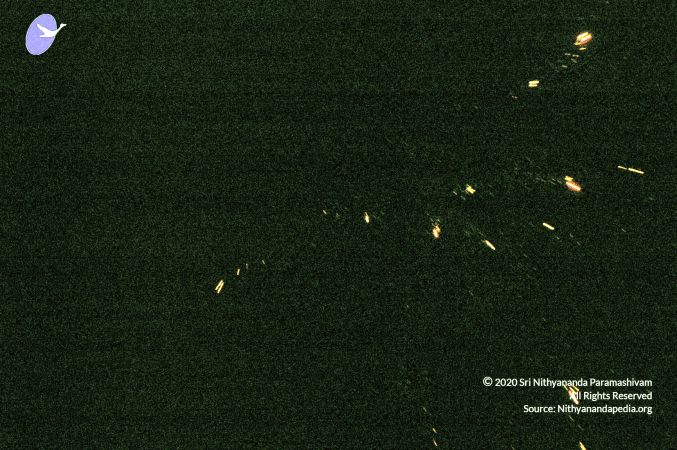 20070101 DSC 2582 CMP WM00100.jpg