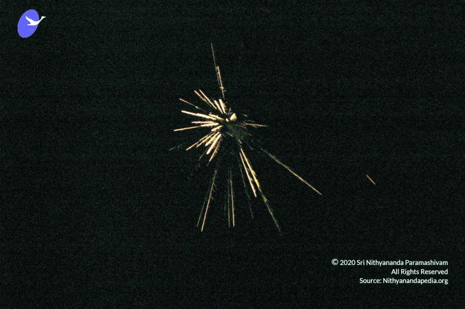 20070101 DSC 2590 CMP WM00100.jpg