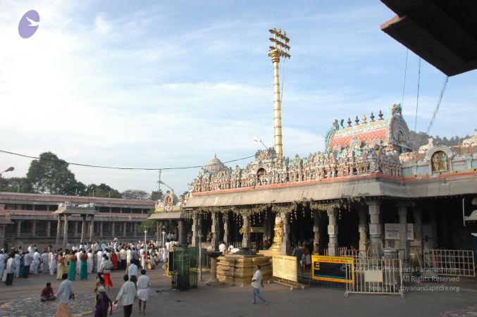 20070112 6387 CMP WM.jpg