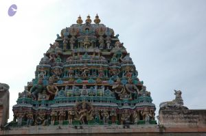 20070112 6415 CMP WM.jpg