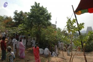 20070112 6895 CMP WM.jpg