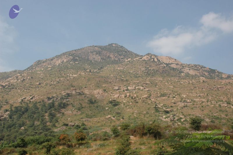 File:20070112 6953 CMP WM.jpg