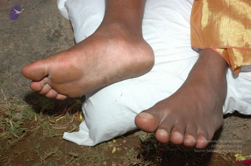 File:20070112 7132 CMP WM.jpg