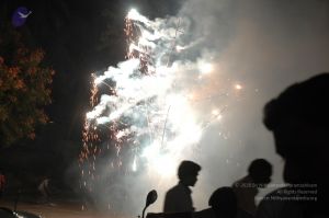 20070112 8189 CMP WM.jpg