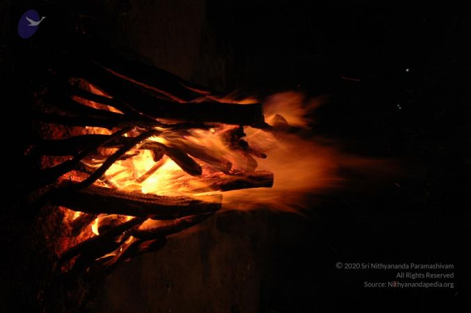 20070202 Photo 1212 1TjtxotkJALeKAHWHErPZn7Nr8JEEEoml.JPG