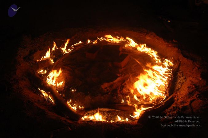 20070202 Photo 1215 1sfTEhtOhagq2BErblNumRBx7evIVA25r.JPG