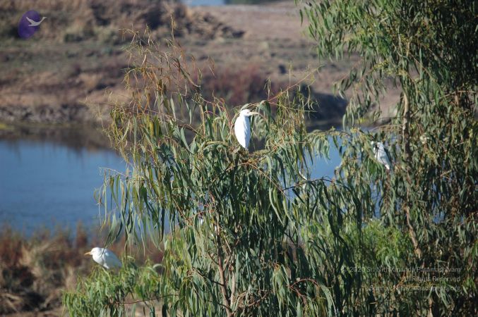 20070202 Photo 1502 1jBvN51JA4AoC-WKIXLrQNEkPncqH-Jj-.JPG