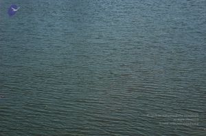 20070202 Photo 2174 1Kz19HchfkzOwbWjboVyZiyvwuUANiX9o.JPG