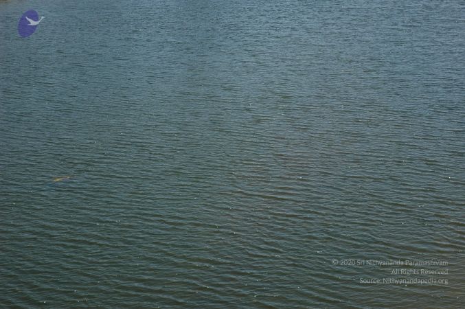 20070202 Photo 2175 1SXfLIpEjI6fwCm82gudHI-hCsg0loOvK.JPG