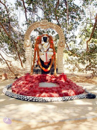 20070205 DSC01625 CMP WM.jpg