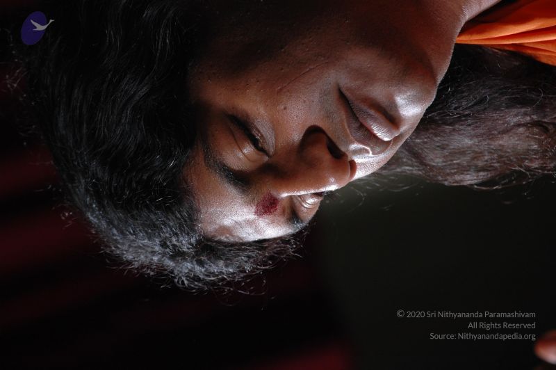 File:20070205 Photo 1256 19nKd0qZp32by9eFVDh0Jpp2gEyOTn-FP.JPG