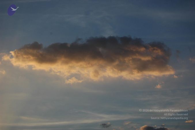 20070213 Photo 1042 1tLGKvU2pmu5Fwqi50lH2zXVCe7duCWjy.JPG