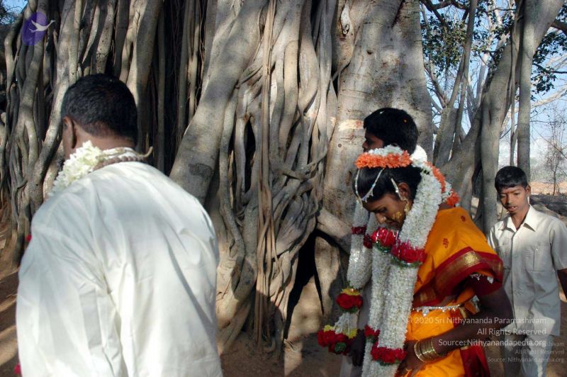 File:20070215DSC 7699 CMP WM00100.jpg