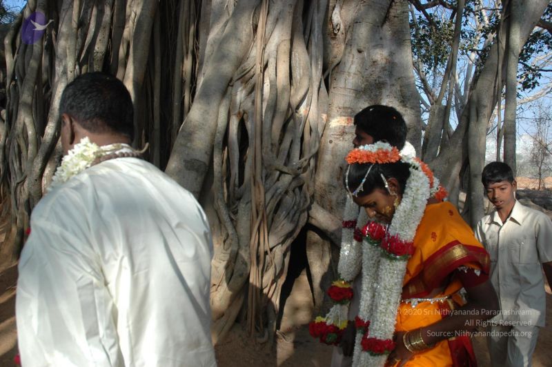 File:20070215 Photo 1196 1lk7ZRxNHuwhd0YJUc3d7VVc4FdmtFYyn.JPG