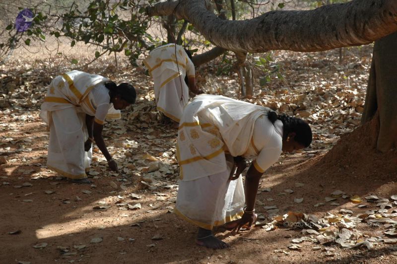 File:20070216 Photo 1132 1KKeQvKB0-pVXKLydvB101j0KQruX06E6.JPG