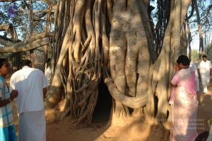 20070224 Photo 1185 1MVy-c 4Pf9lfG0piARhLtUrOF uzSQGC.JPG