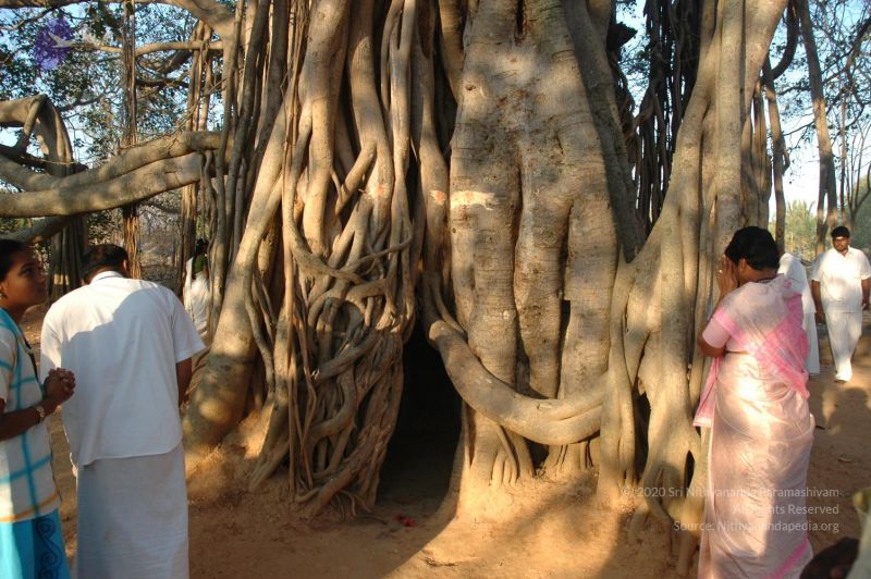 File:20070224 Photo 1185 1MVy-c 4Pf9lfG0piARhLtUrOF uzSQGC.JPG